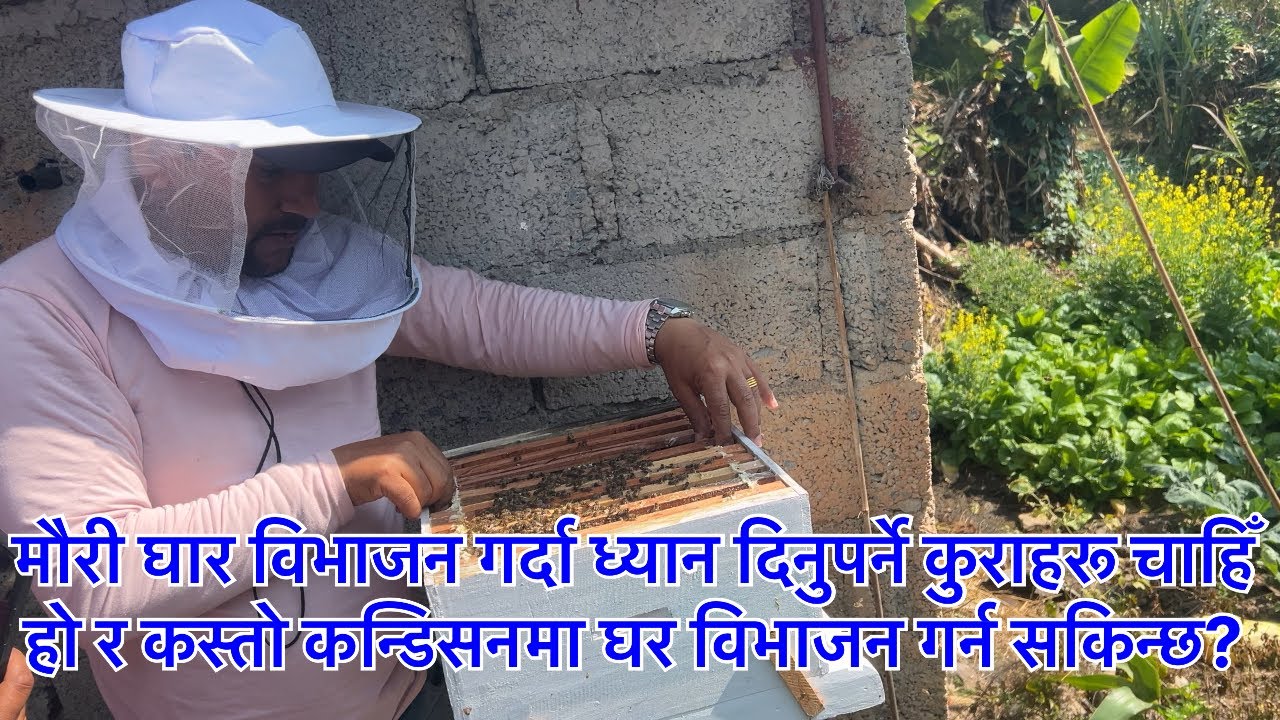 घर विभाजन गर्दा ध्यान दिनुपर्ने कुराहरू चाहिँ हो र कस्तो कन्डिसनमा घर विभाजन गर्न सकिन्छ?