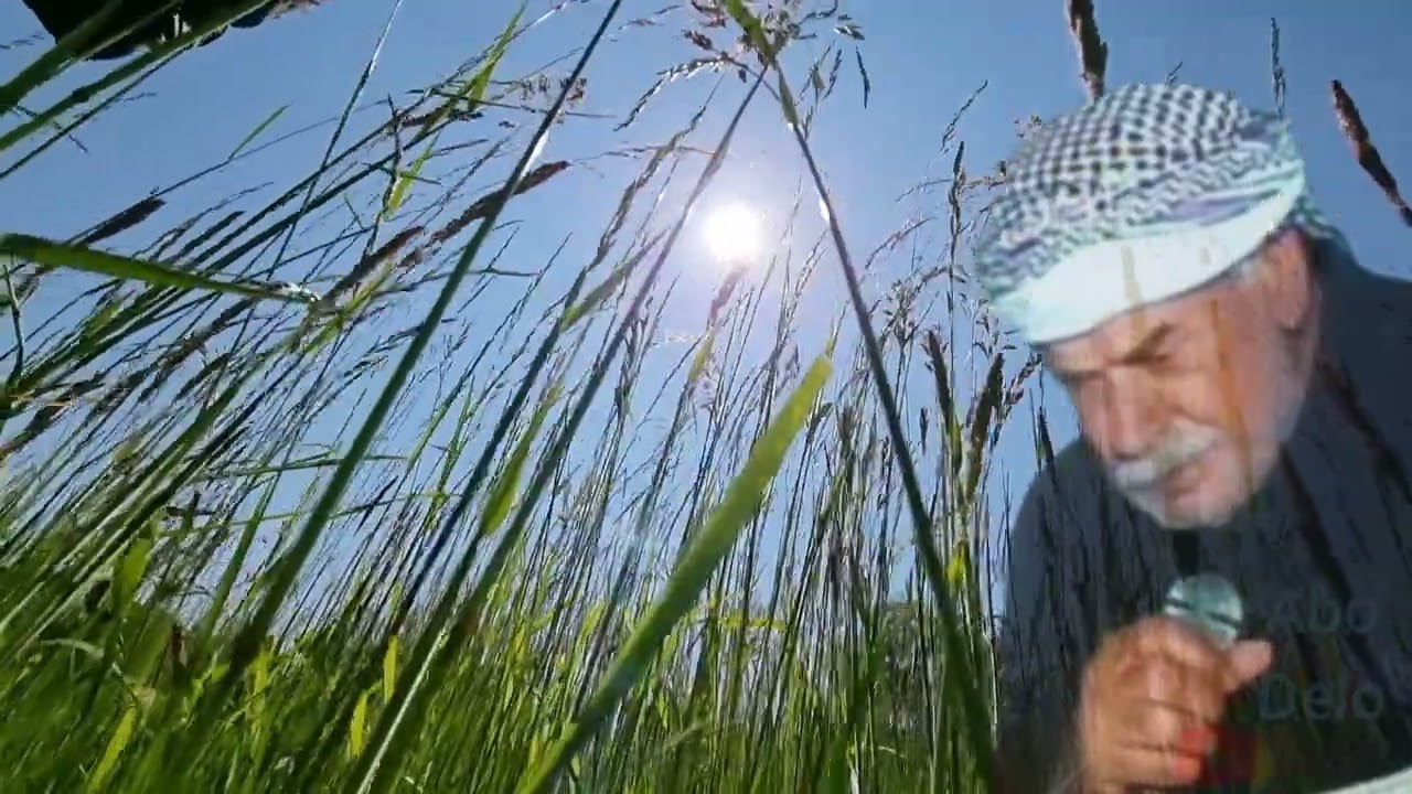 محمد علي تجو ( الجد و الأب الراحل )  لم ترحل بافي علي شمسك دائما ساطعة  ☀️
