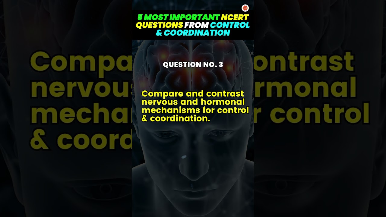 🔍 5 Most Important NCERT Questions from Control and Coordination for Class 10 Science 🌿📚