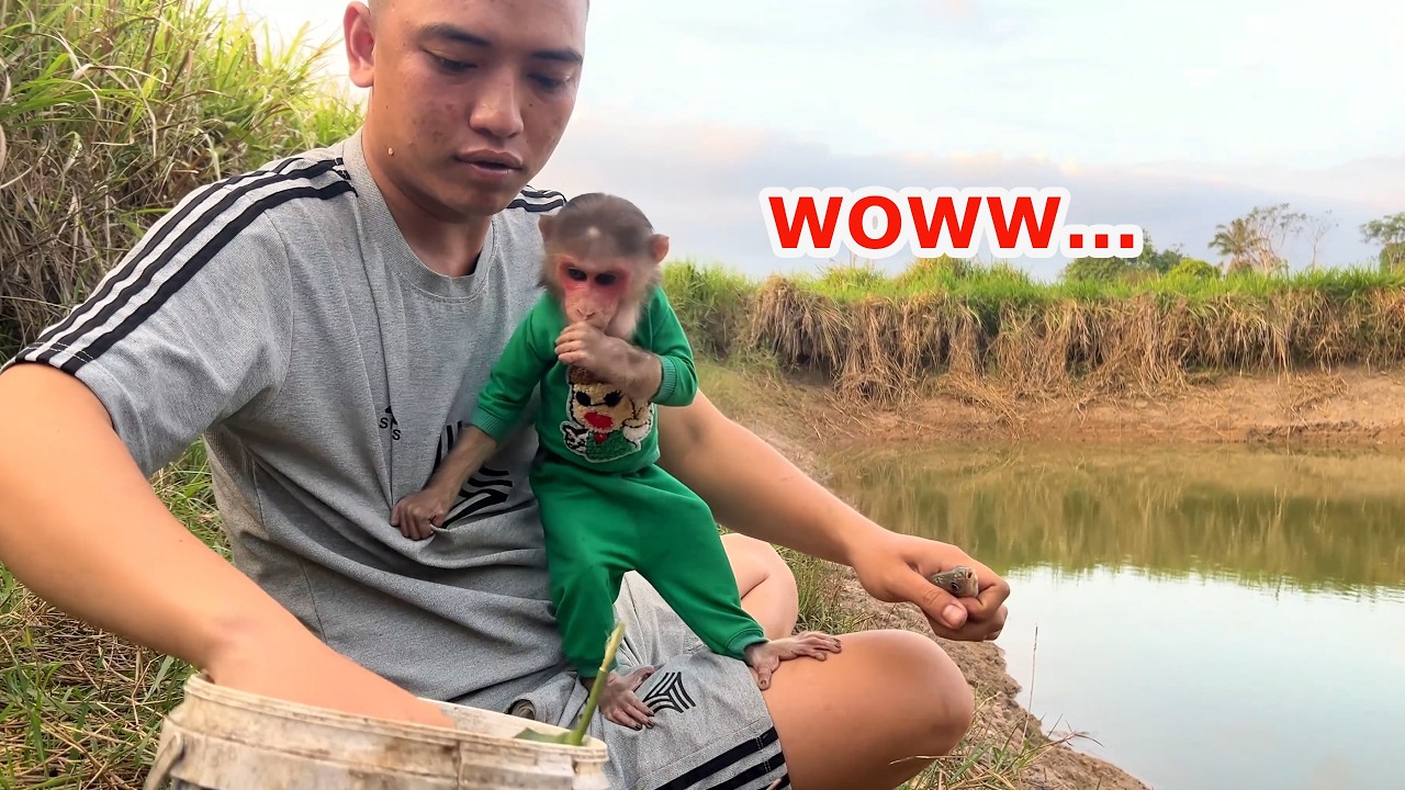 Have you ever seen a dad pampering his baby monkey like this?! Wonderful experience