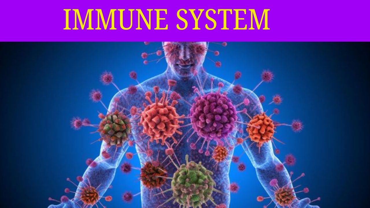 Part 6: Immune System/በሽታን የመከላከል ስርአት