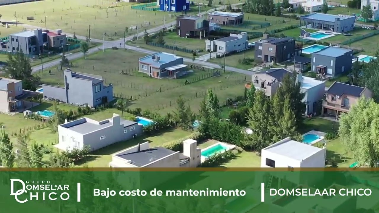 Domselaar Chico