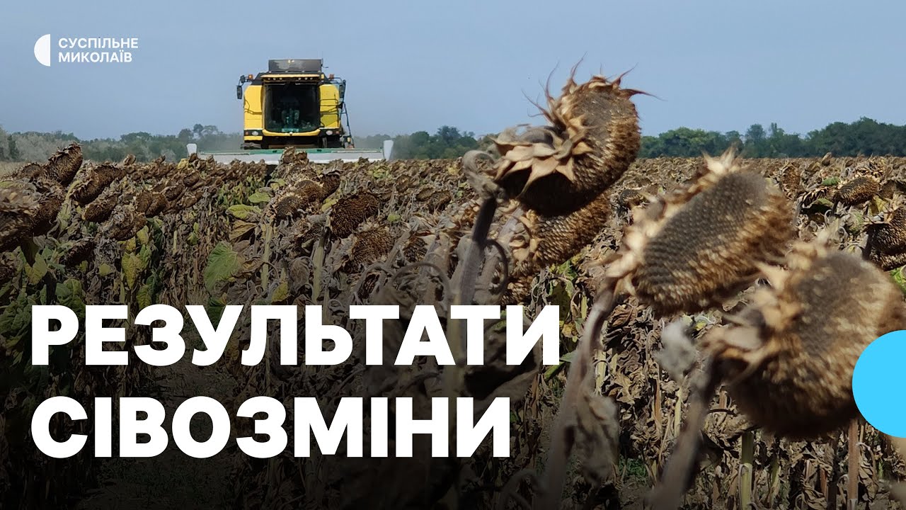 Отримали більший врожай завдяки сівозміні у господарстві на Миколаївщині
