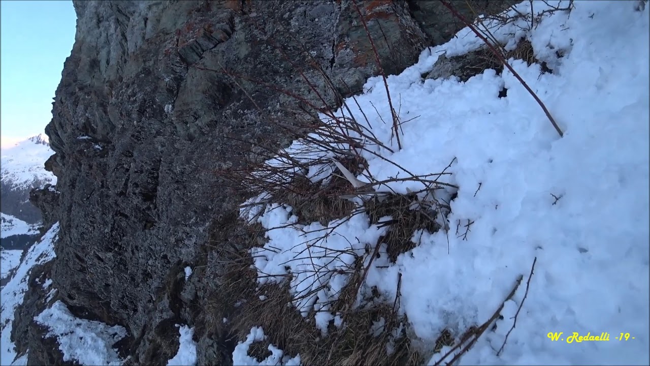 - Palchi di Cervo 2019 -  " Lassù dove osano le aquile "
