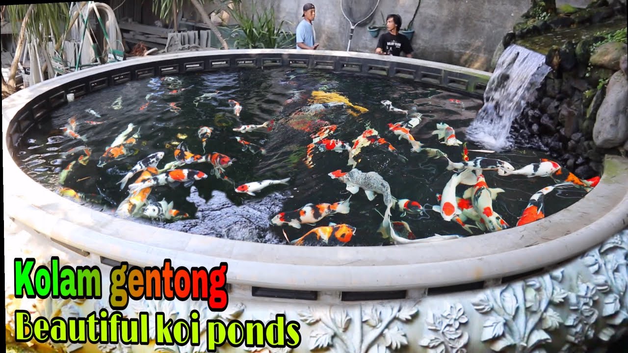 Desain kolam koi terindah - beautiful koi pond Only one in the world