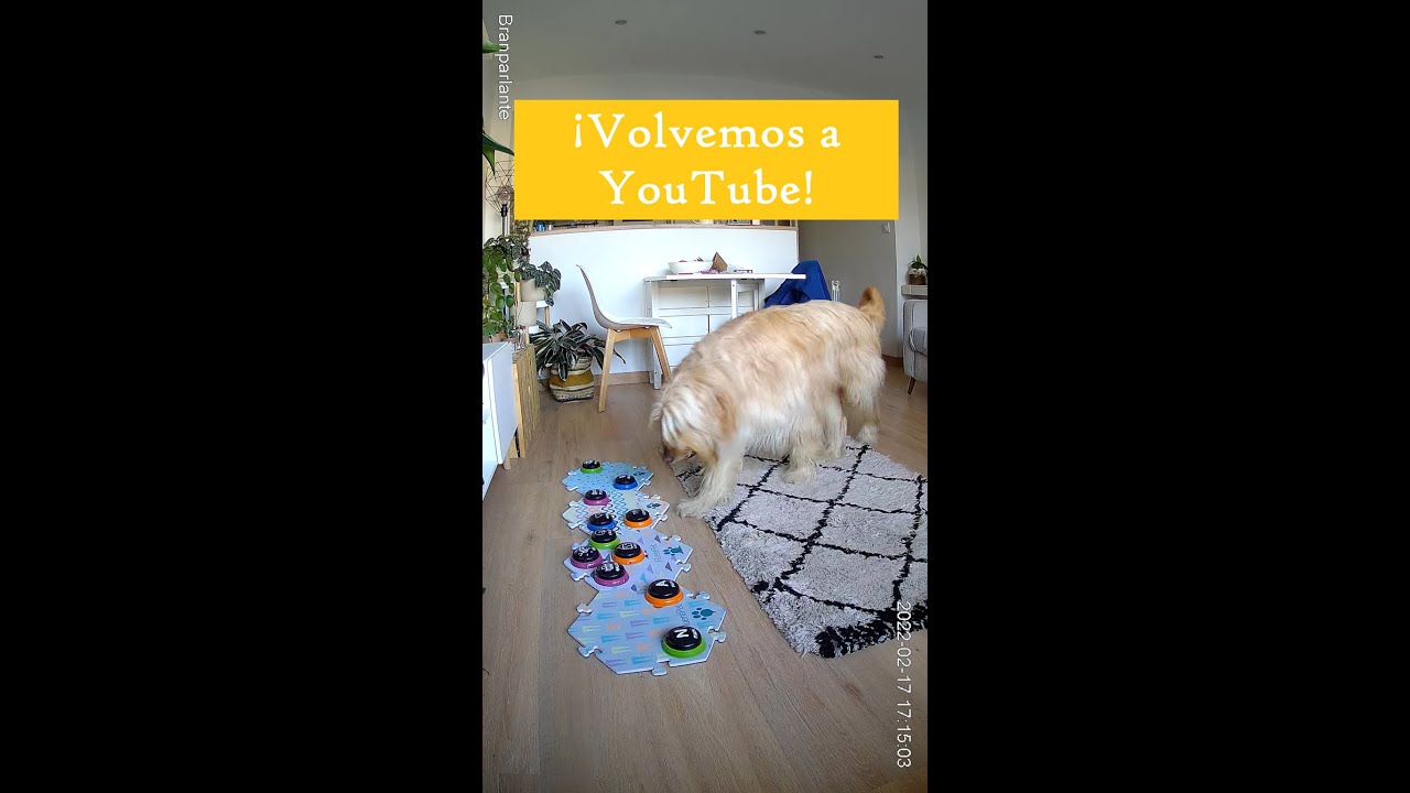 ¡Volvemos a YouTube!