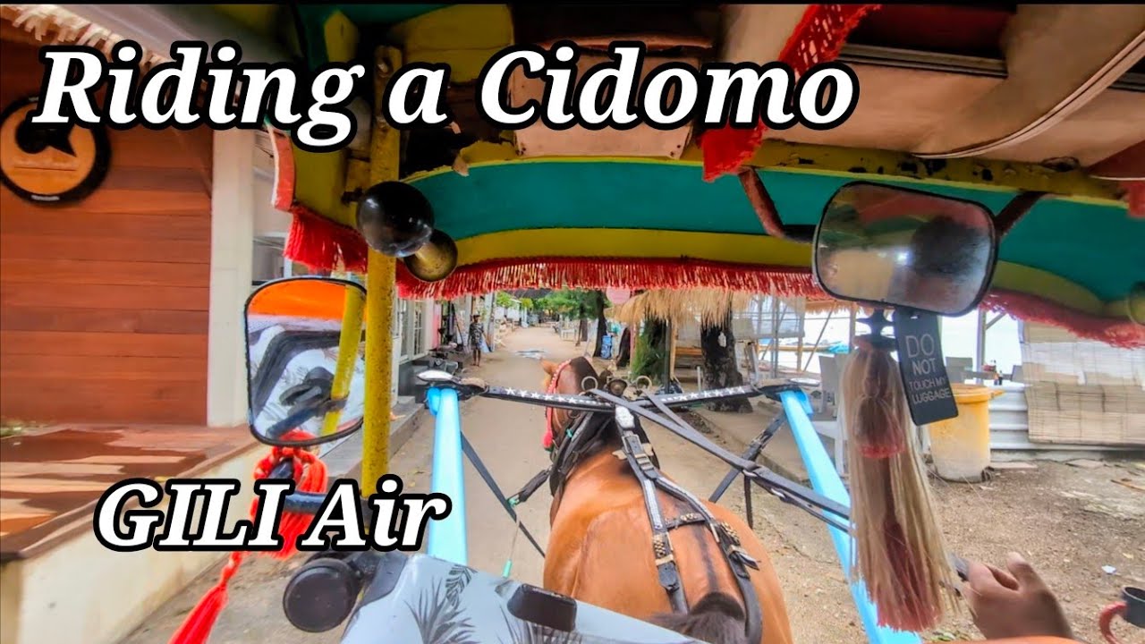 Riding a Cidomo to My Hotel | Gili Islands Horse-Drawn Cart Experience