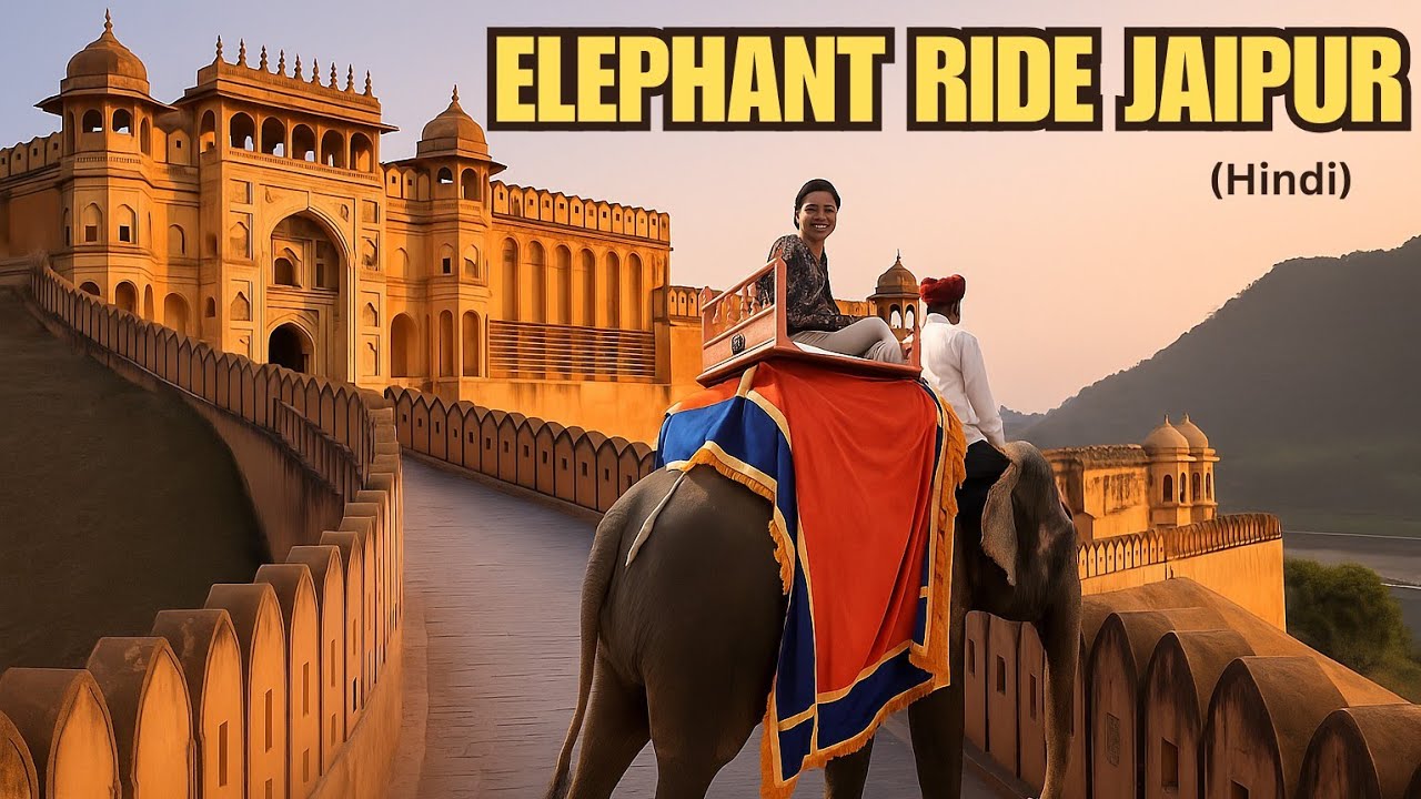 Elephant Ride In Jaipur || Amer fort