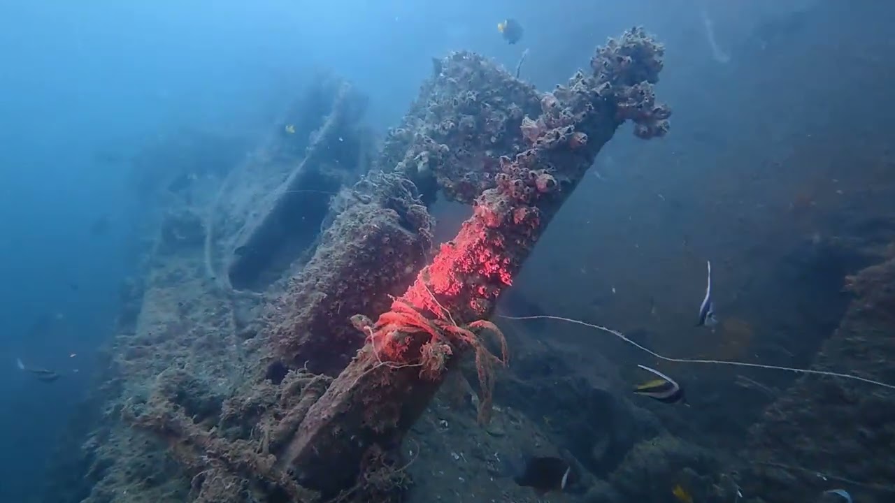 2026 02 15 Tug boat Dive