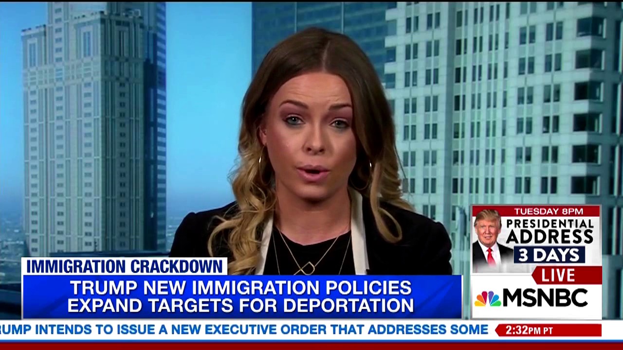 Fiona McEntee   MSNBC TV News 2 25 2017 529PM