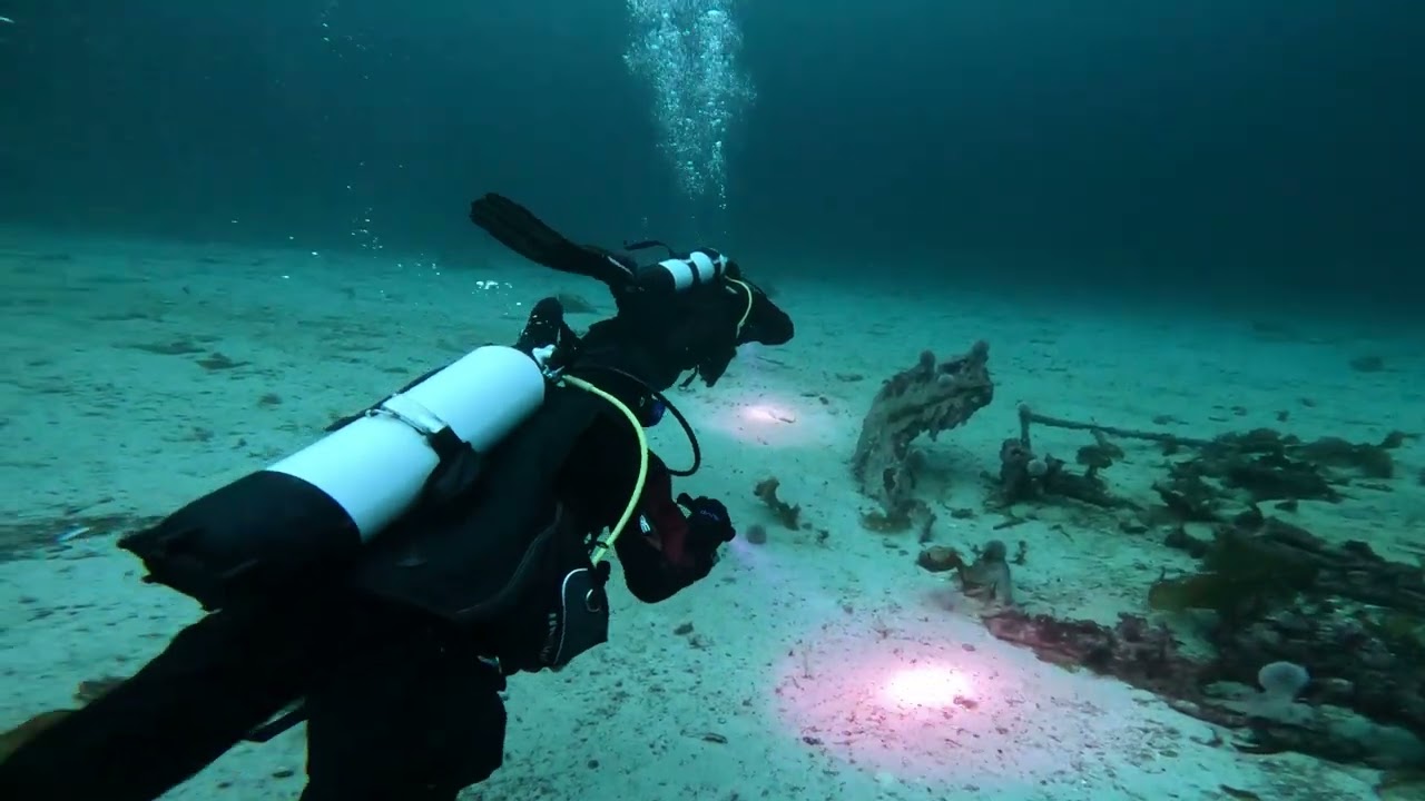 diving in Lofoten