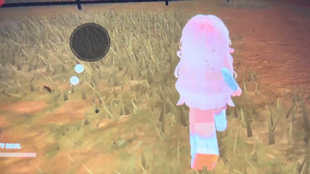 A Tour for the honour of my late horse Teddy