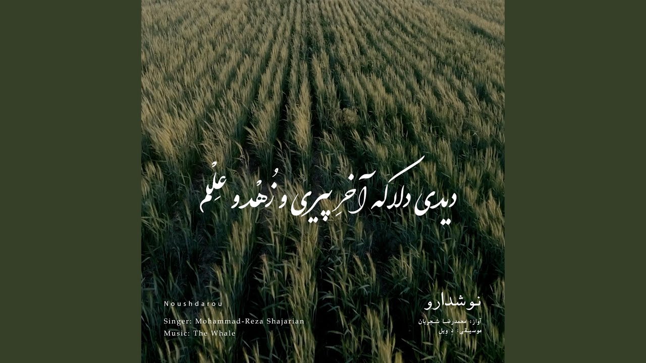 Noushdarou (Rework of M.R Shajarian)