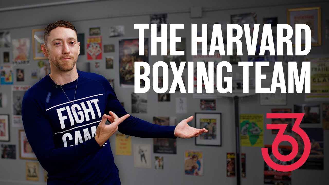 History of Harvard Boxing Team & College Boxing | What Happened To Collegiate Boxing?
