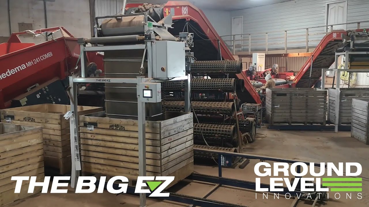 Potato Big Box/Bin Filler & Conveyor