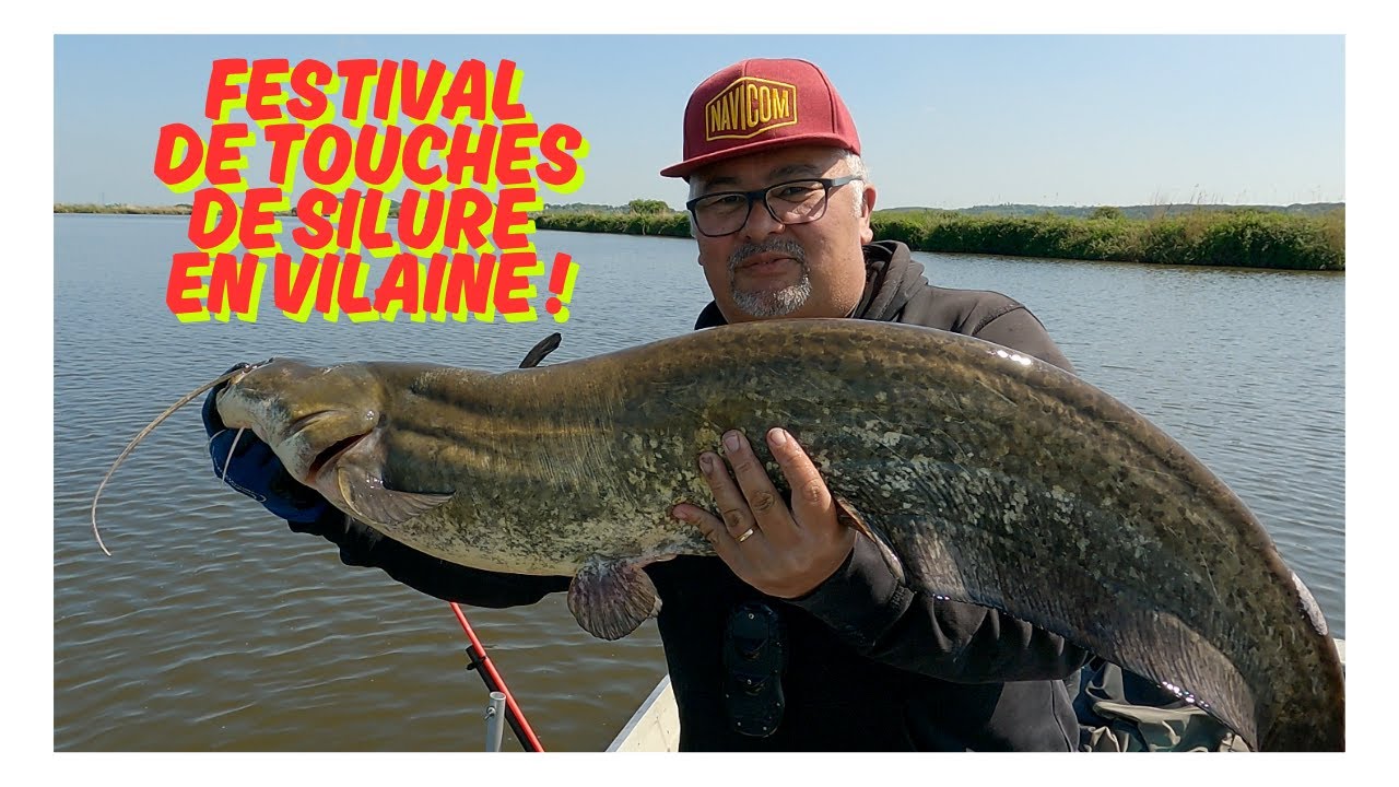 Festival de touches au SILURE en VILAINE !