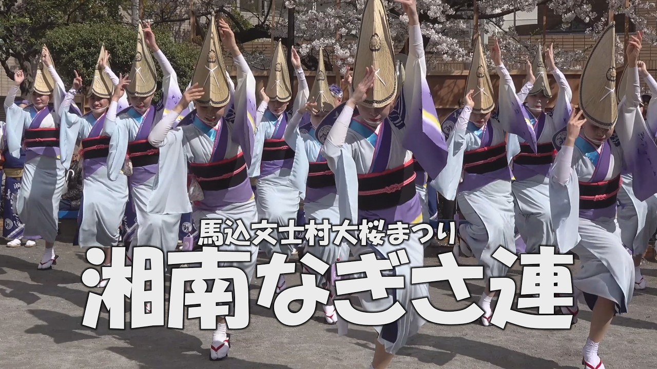 満開の桜の下、綺麗なひとの美しい舞がここに！「湘南なぎさ連」Japan traditional festival - 第35回馬込文士村大桜まつり（2025.4.6）
