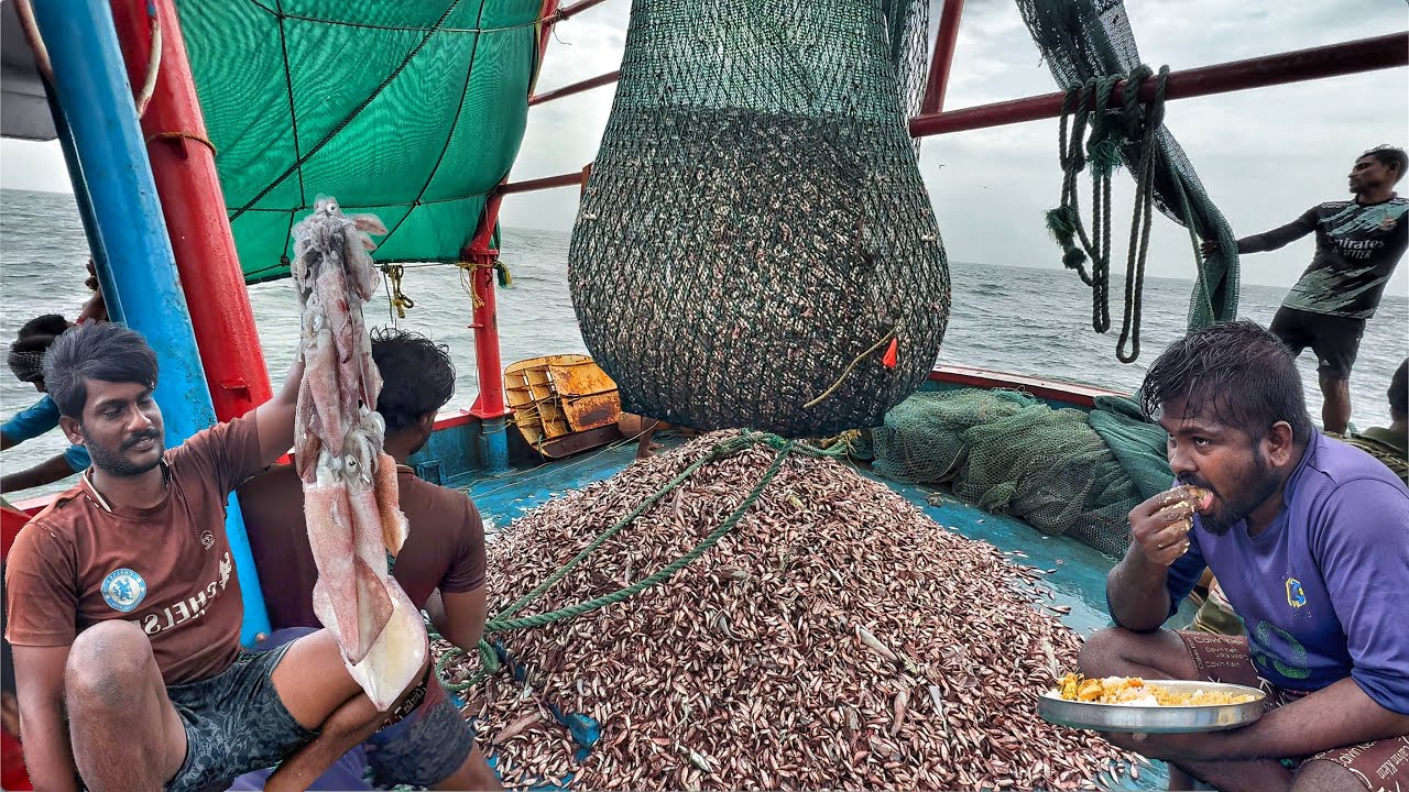 Unreal‼️ Day 03 || 🐠 Real Fisherman Life: From Catching to Cooking in the Middle of the Sea!