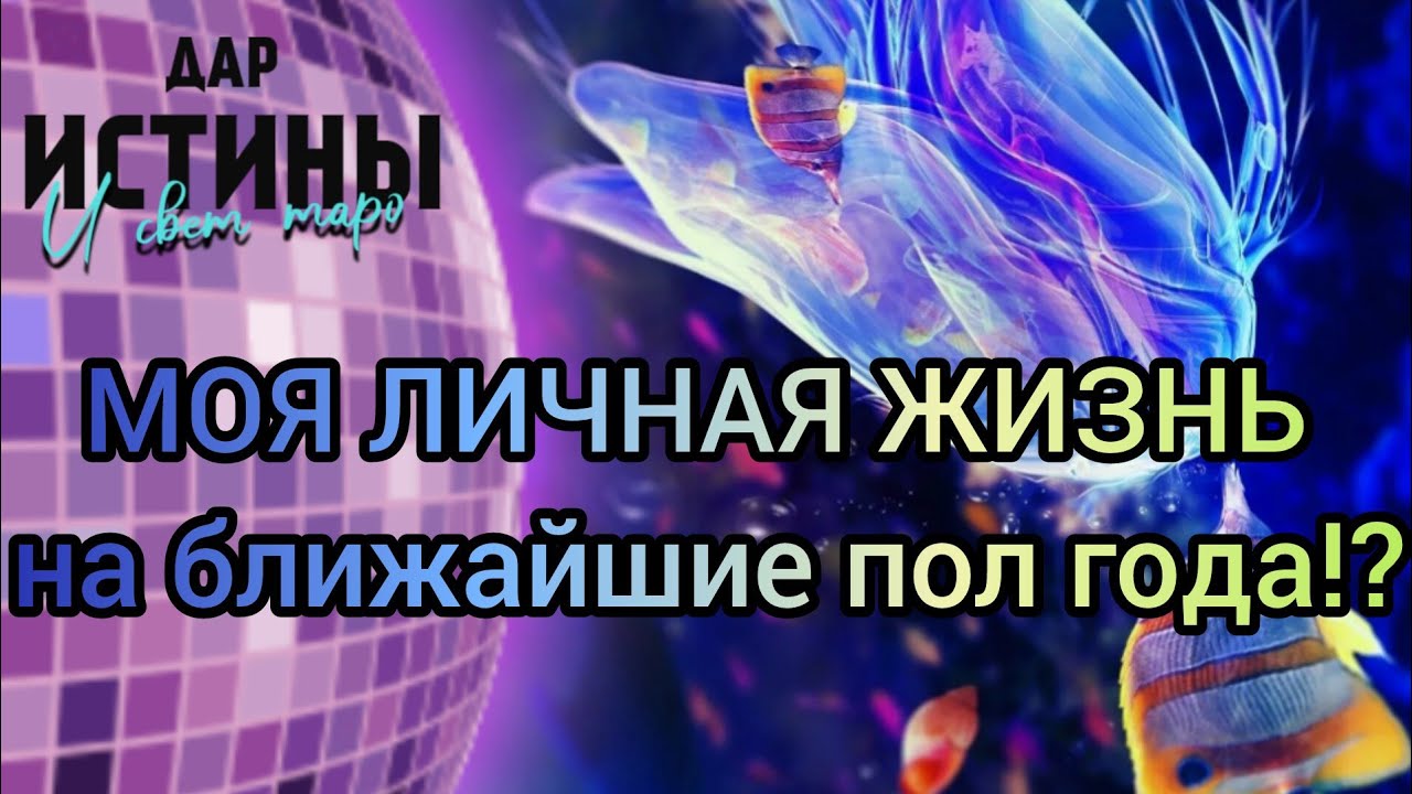 ✅⁉️МОЯ ЛИЧНАЯ ЖИЗНЬ НА БЛИЖАЙШИЕ ПОЛ ГОДА ⁉️🔯✅