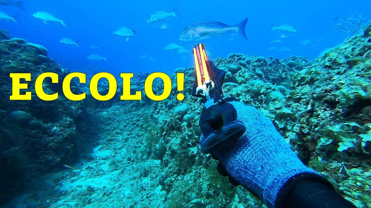 OGGI HO VINTO IO! &ndash; Pesca Sub Puglia