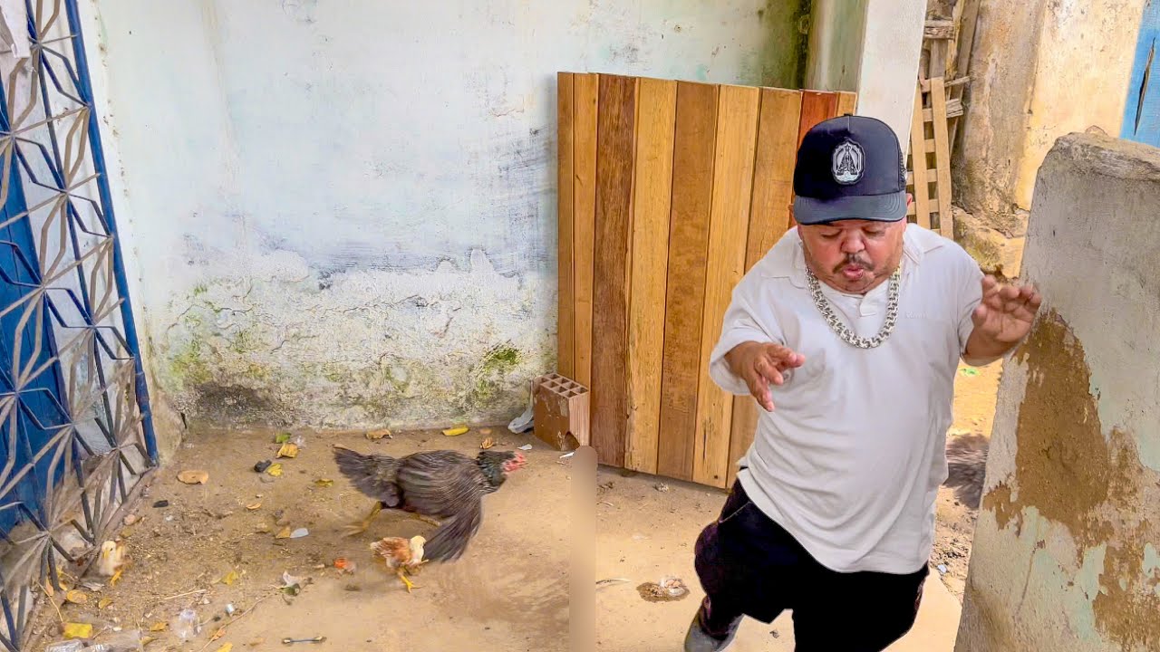 GALINHA PARTE PRA CIMA DE PILILIU 😂 | PILILIU DA RESENHA
