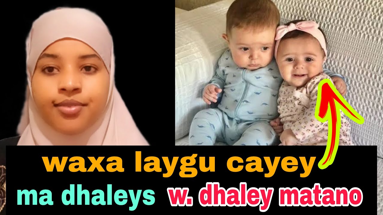 XIQDI IYO XASIDNIMO MAXA KADANBEYEY CIWAD QURUXBADAN@afnaaneddabsan