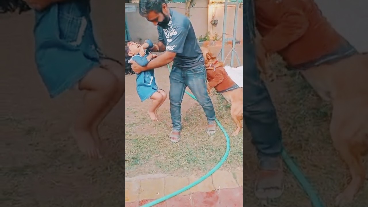 #doglove