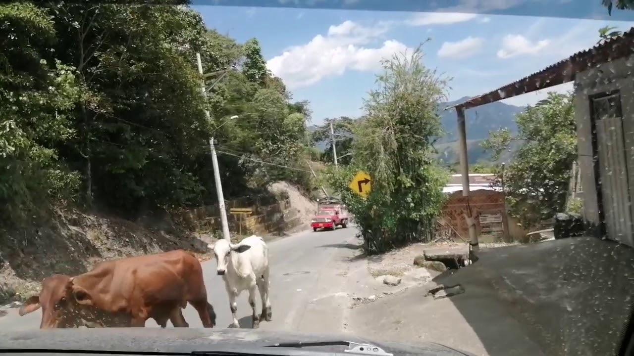 YACOPI CUNDINAMARCA TIERRA DE PAZ MUJERES BONITAS Y GENTE TRABAJADORA🇨🇴🤩🤩