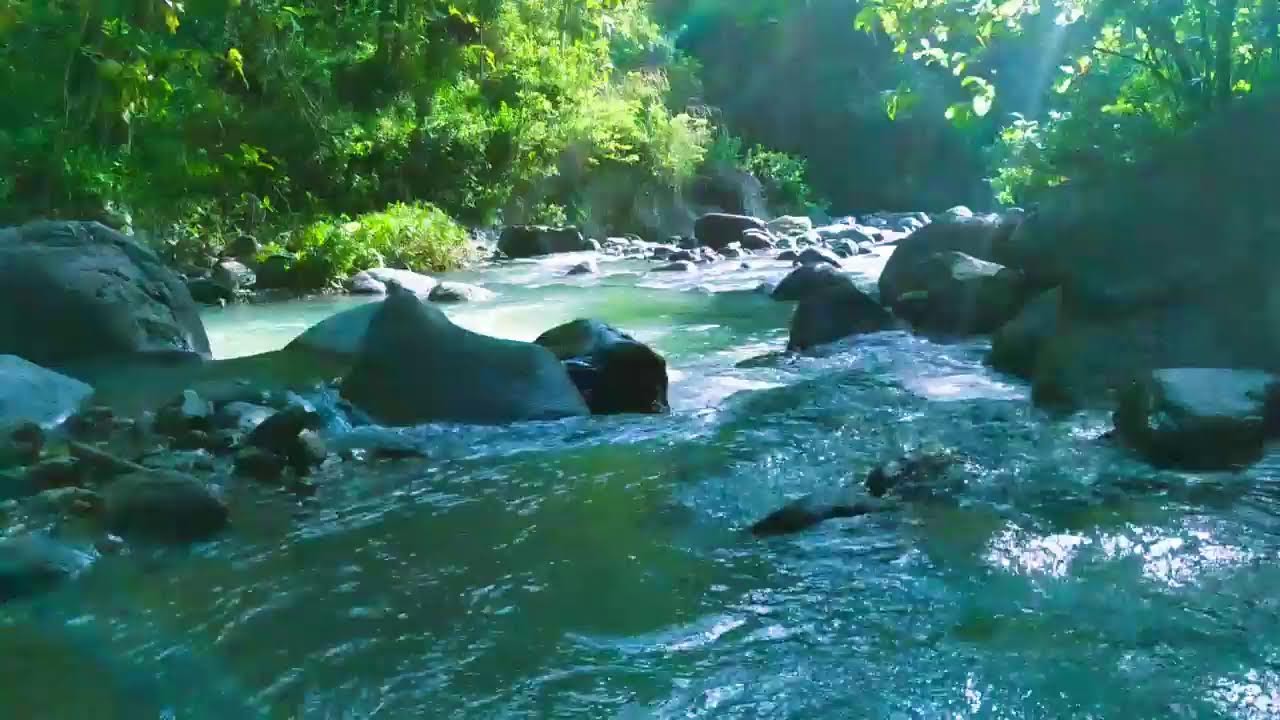 Mountain River Flowing 24/7 - Water Sounds, Nature White Noise. River Sounds for Sleeping