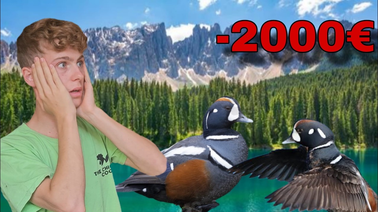 ho SPESO 2000€ per 2 NUOVI ANIMALI! 🐾 + Aggiornamenti Pollaio e Laghetto