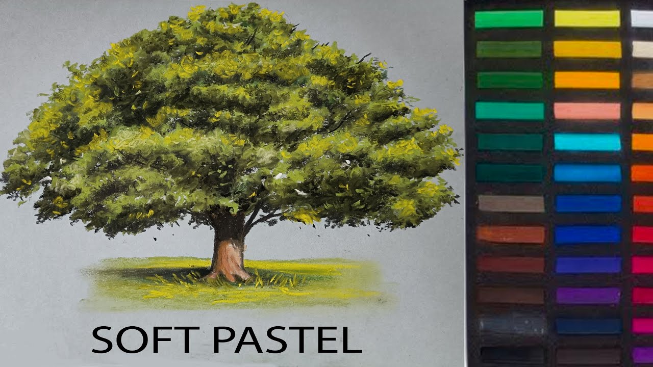 MAKING TREE (SOFT PASTEL) DRAWING