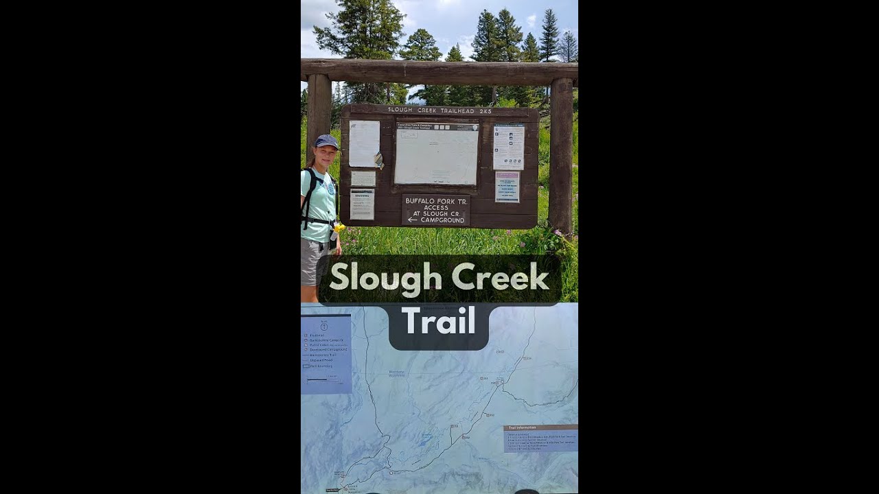 Two bear encounters on our favorite hiking trail in Yellowstone National Park