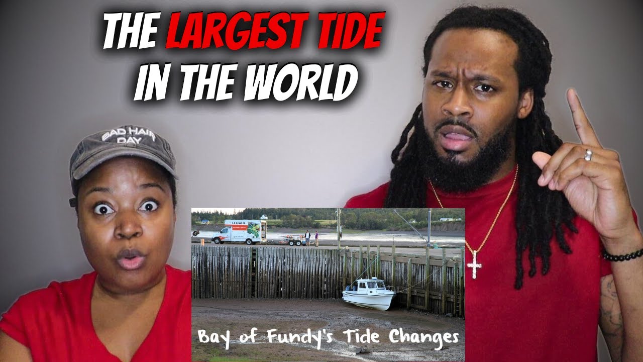 🇨🇦 THE WORLD'S LARGEST TIDE! First Time Seeing The Bay of Fundy's Radical Tide Swings!