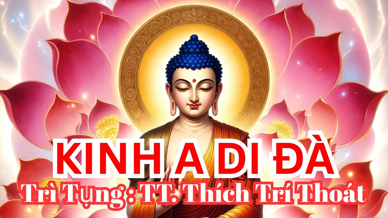 Kinh A Di Đà & Chú Đại Bi Đầu Năm Cầu An | TT Thích Trí Thoát | Góc Nhỏ Phật Giáo