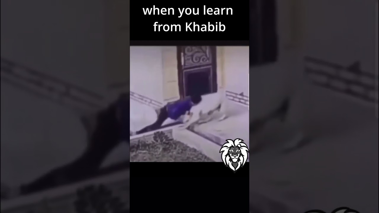 When you learn fighting from Khabib man vs dog #ufc #khabibnurmagomedovufc #motivation #mma #khabib