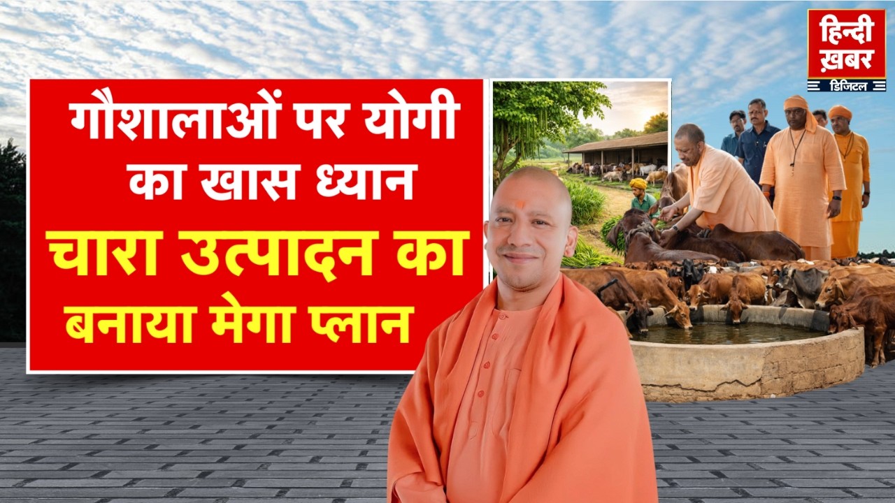 गौशालाओं पर योगी का खास ध्यान, चारा उत्पादन का बनाया मेगा प्लान | CM Yogi | Special Report | UP News