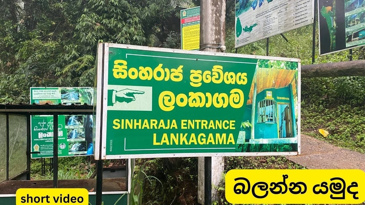 Eco Lodge in Lankagama - SINHARAJA FOREST සිංහරාජයේ ආරම්භය ලංකාගම බලමුද 