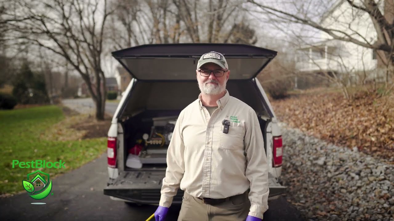 Year-Round Pest Protection Every Homeowner Needs (Eco-Friendly & Safe!)