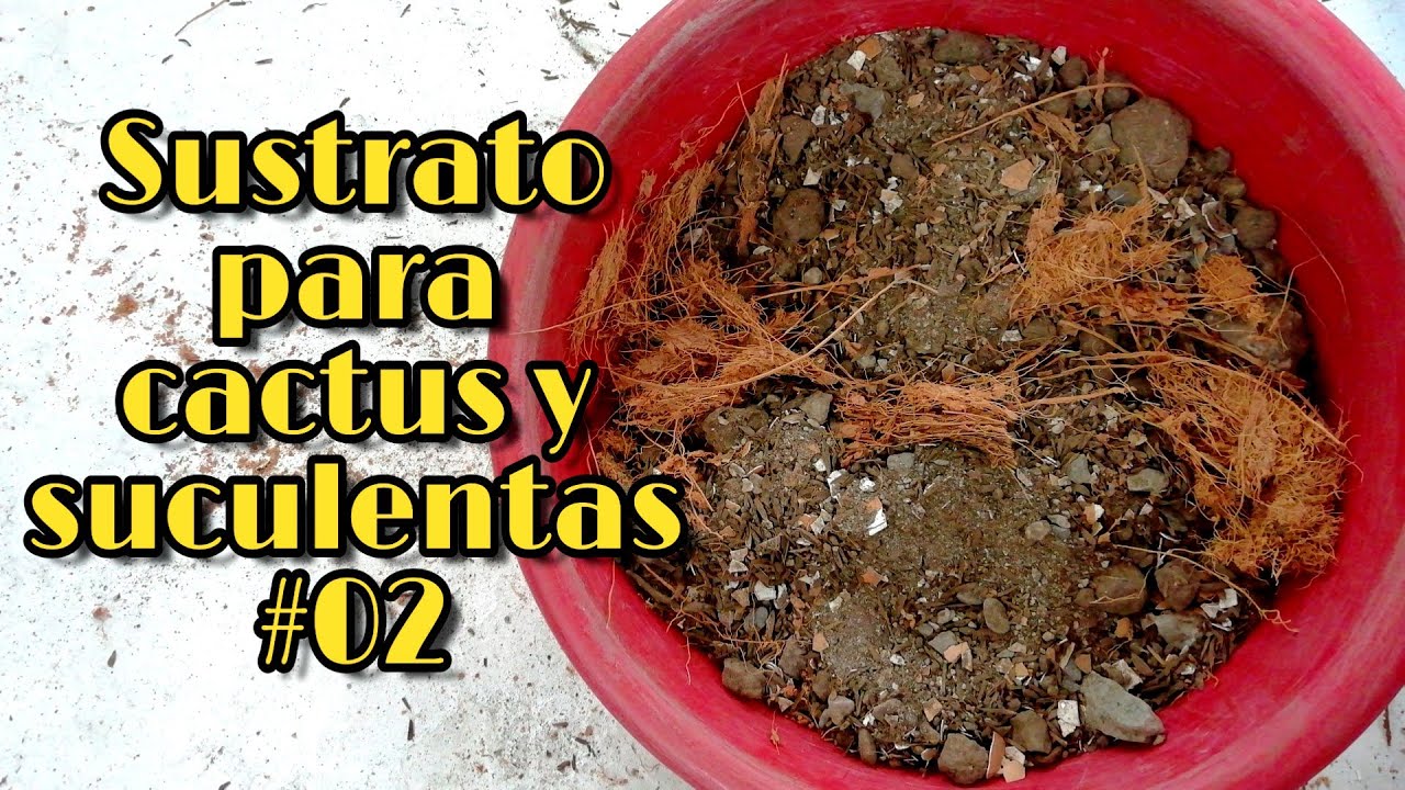 SUSTRATO CASERO PARA CACTUS Y SUCULENTAS #02 🌱 | Jardines By Angie