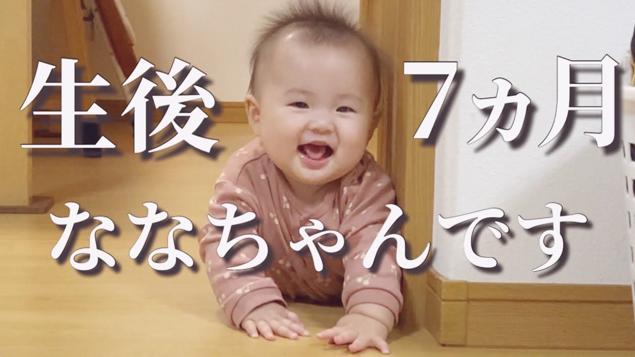 生後７ヵ月になったななちゃんもよろしくお願いいたします❤️