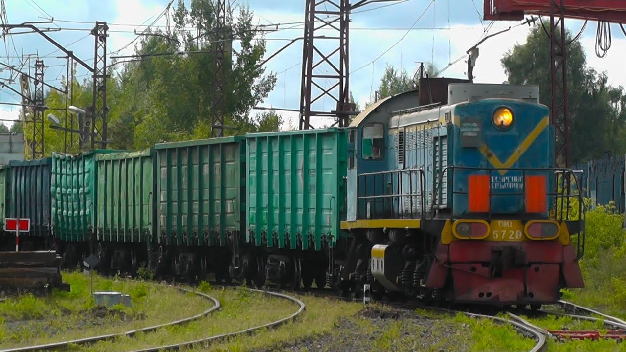 Стукачи! Тепловоз ТЭМ2-5729 с грузовым составом 