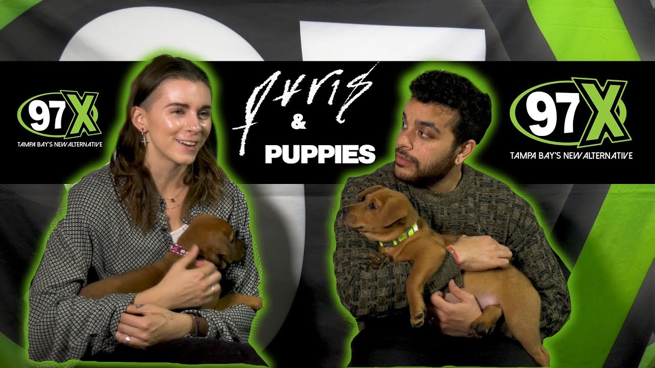 PVRIS hold incredibly CUTE PUPPIES while talking with 97X!