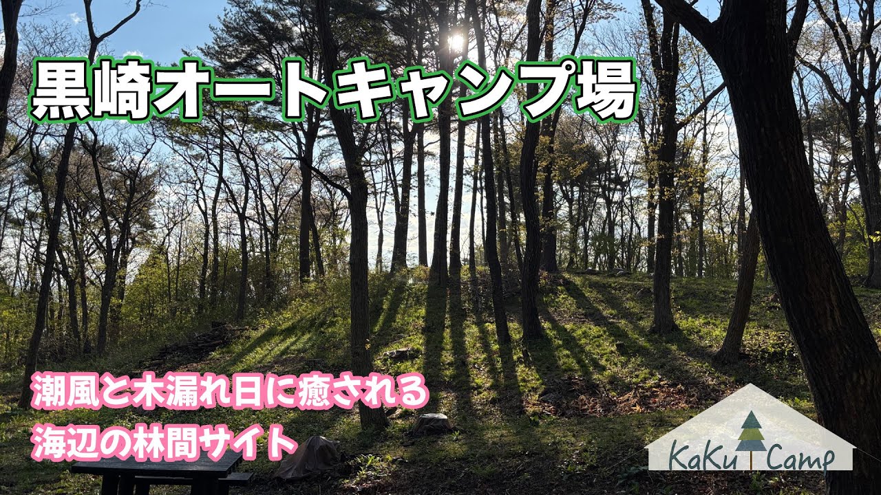 【黒崎オートキャンプ場】潮風と木漏れ日に癒される