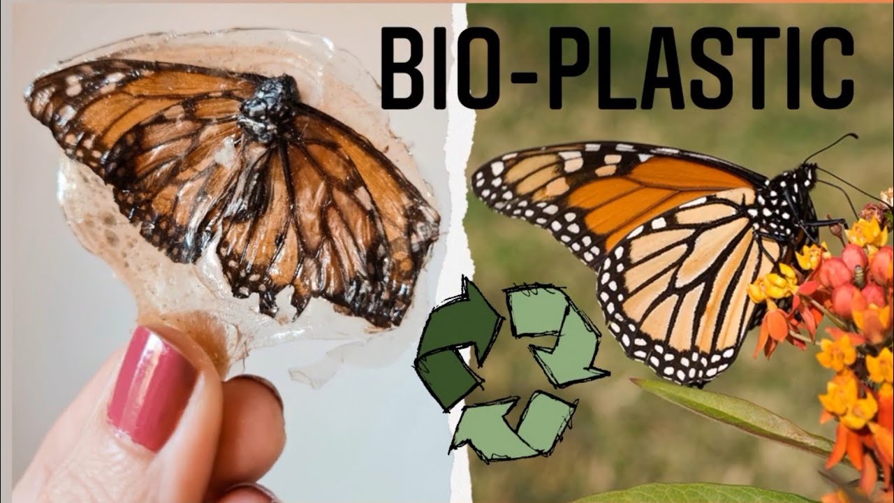 Atrapa SOL ¡Hace plástico con Gelatina y agua! Bioplastico, compostable y Biodegradable