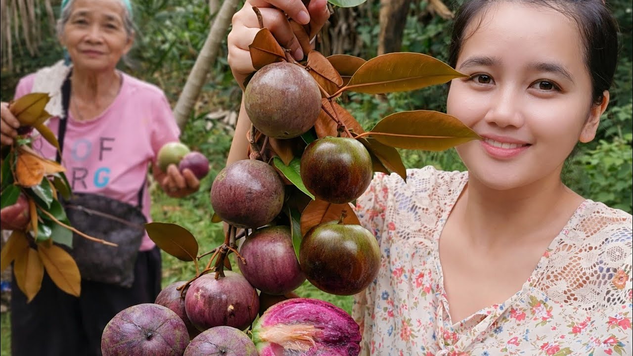 PANANDALIANG BAKASYON SA LUGAR NI MELEN / NAMITAS NG STAR APPLE 