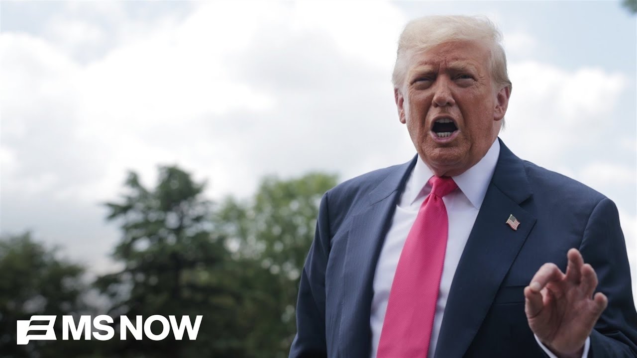 Ex-ICE official: Agency's guardrails 'eviscerated, plowed through' under Trump's leadership
