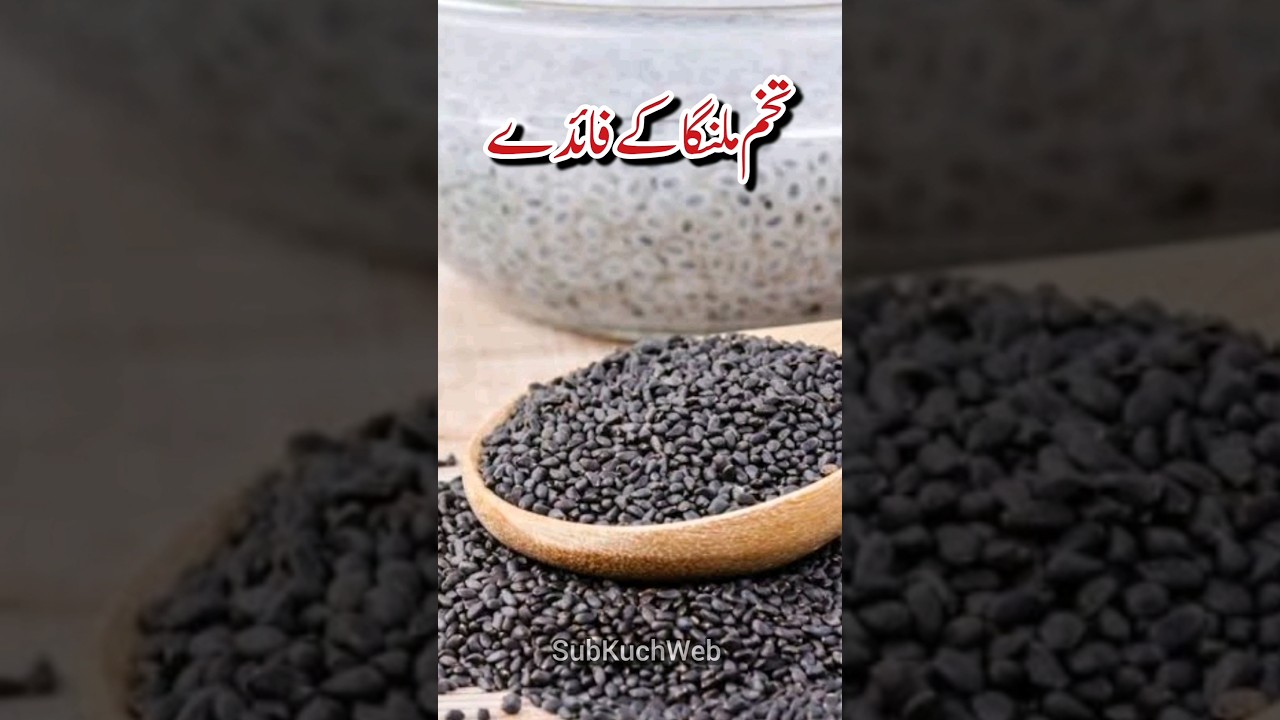 Tukh Malanga Ke Fayde, Health Benefits of Basil Seeds #healthbenefits #youtubeshorts