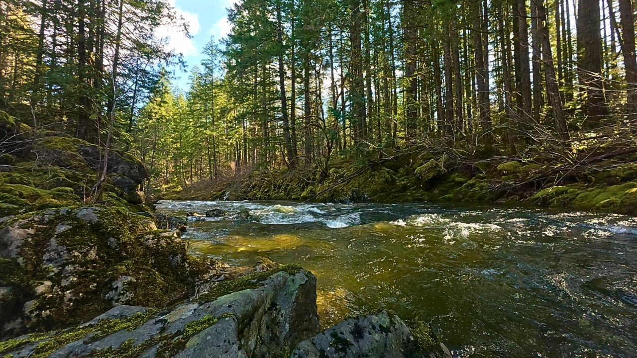 Flowing River Sounds - 2 Hours Relaxing Nature Sounds
