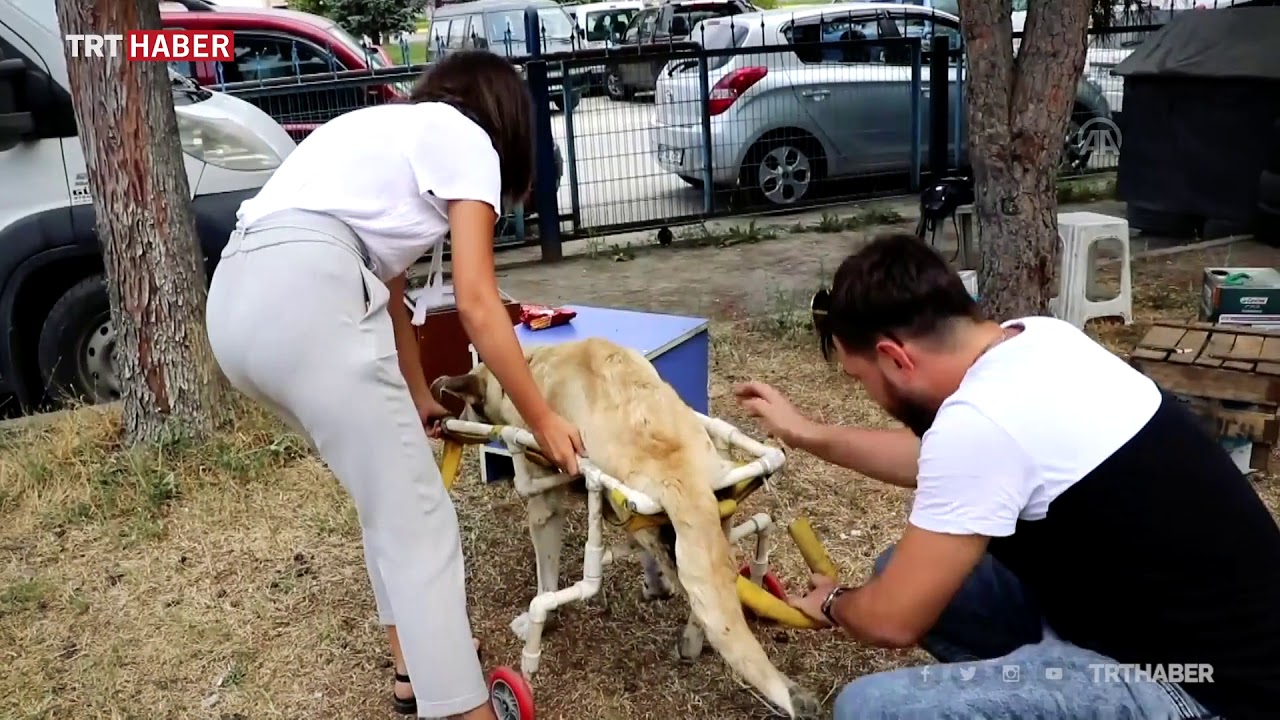 Plastik borularla yapılan yürüteç ayakları oldu