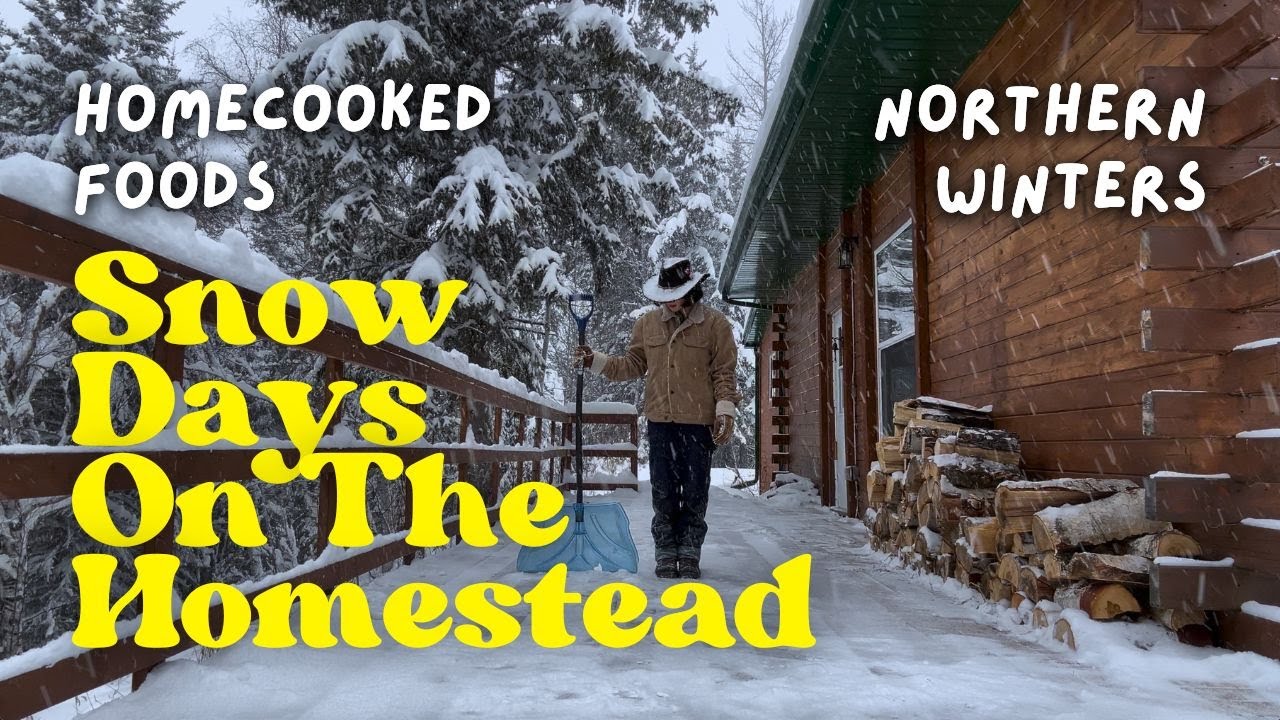 [CABIN VLOG]: Cozy & Cold Days When The Snow Doesn't Stop ❄️